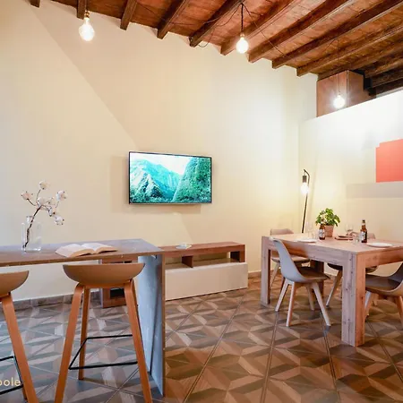 Rosine Loft Apartment Turin