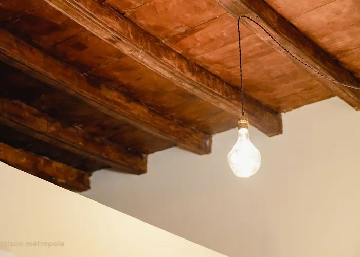 Rosine Loft Daire Torino