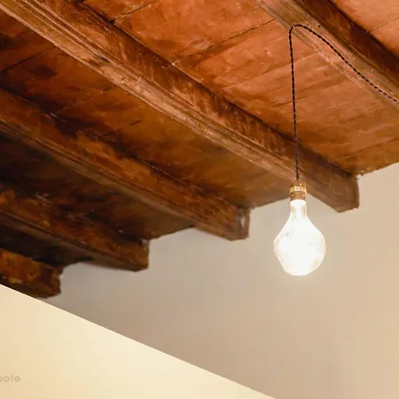 Rosine Loft Daire Torino